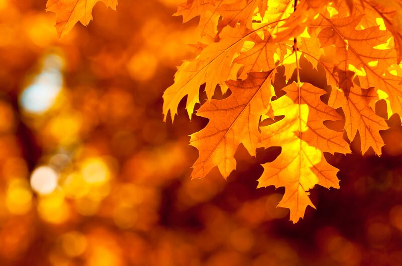 Herbstferien